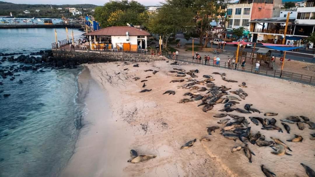 Royal Galapagos Inn Puerto Baquerizo Moreno Εξωτερικό φωτογραφία